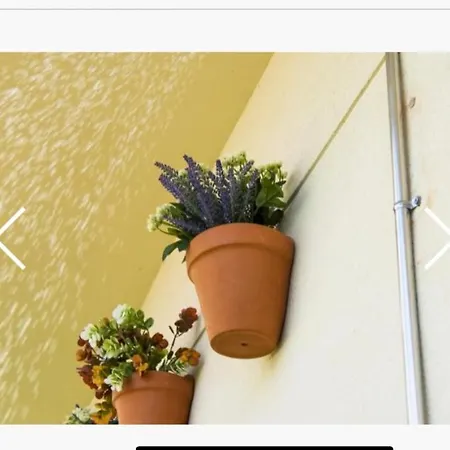Exclusivo Duplex Con Terraza En Apartment *