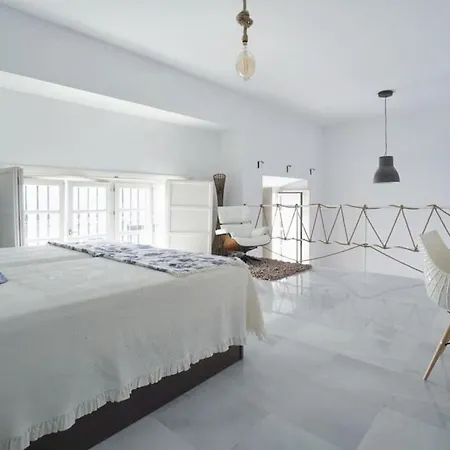 Optimus Duplex Loft *