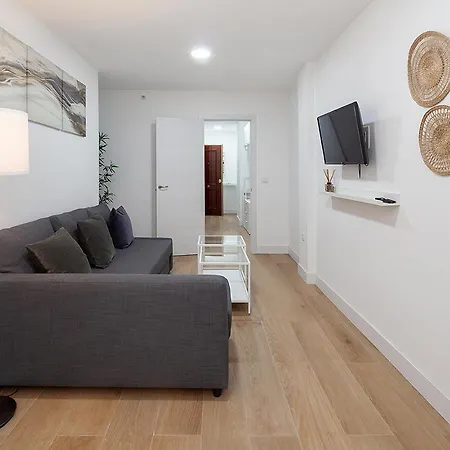 Amazing Flat In Center-sevillarooms Apartment