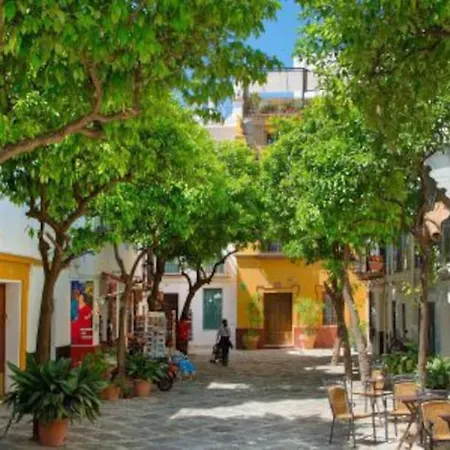 Beautiful Ap 3 Bedroom 6px Center Refurbished19 Apartamento Sevilla