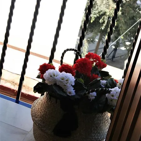 Πανσιόν Nuea Cicerone Σεβίλλη