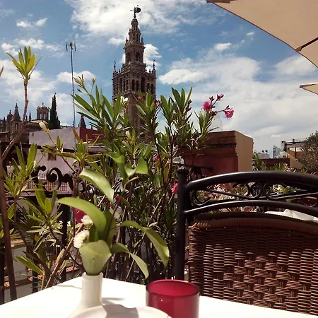 Hotel Palacio Alcazar 4*