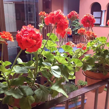 Patio De La Alameda Hotel