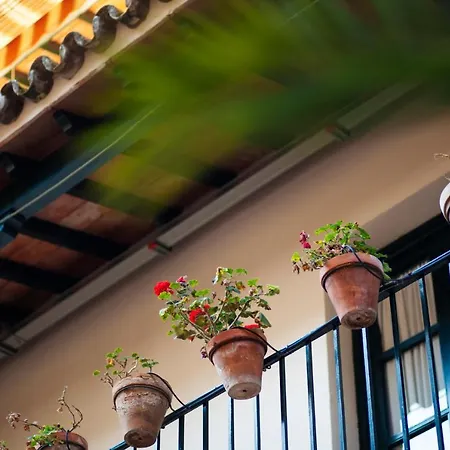 Alohamundi Lumbreras I Seville