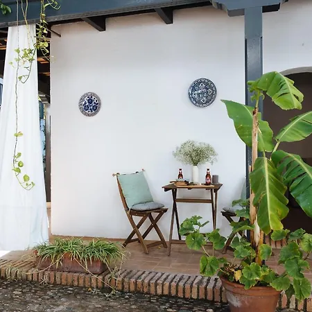 Aitana's Retreat With Charming Garden Διαμέρισμα