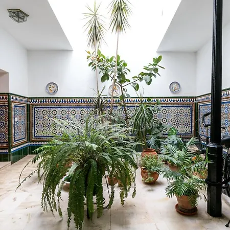 Conde Collection Gran Poder Seville