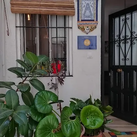Ideal Tipo Loft En Triana Wifi