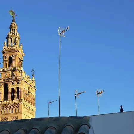 Stunning Attic With Private Terrace And Parking Optional Seville