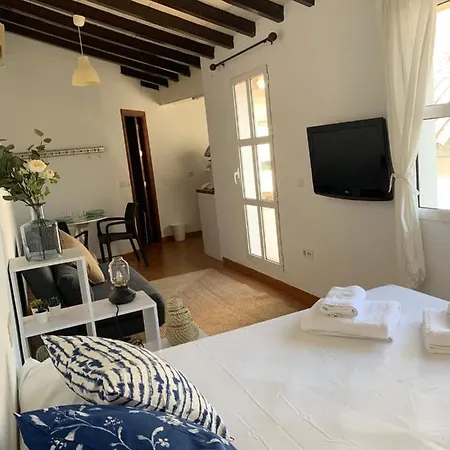 Stunning Attic With Private Terrace And Parking Optional *