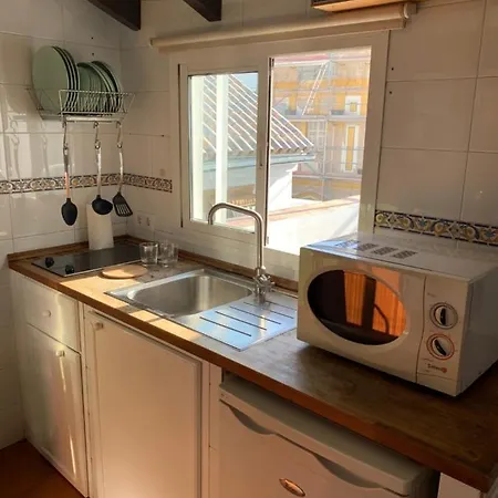 Apartment Stunning Attic With Private Terrace And Parking Optional