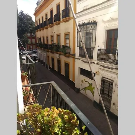 Centro Encarnacion 1º D *