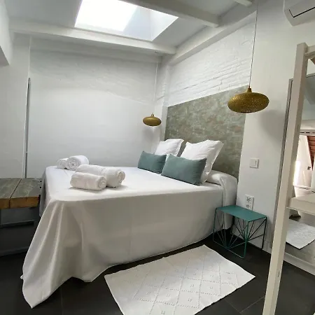 Atico Con Terraza Totalmente Privada En Pleno Centro Historico De *