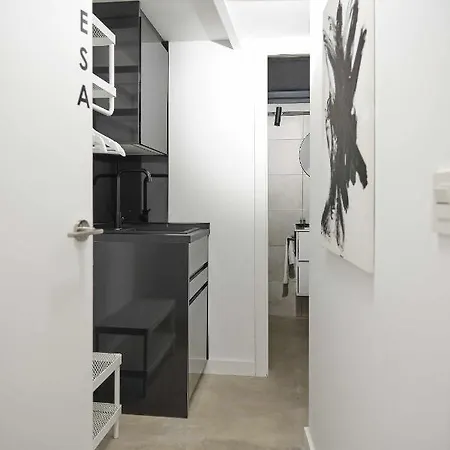 Calesa Centro Apartment Seville