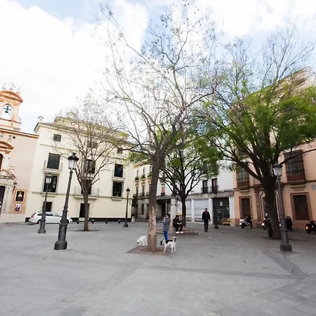 Gotoseville Molviedro Apartamento Sevilla
