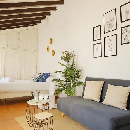 Apartment Stunning Attic With Private Terrace And Parking Optional Seville