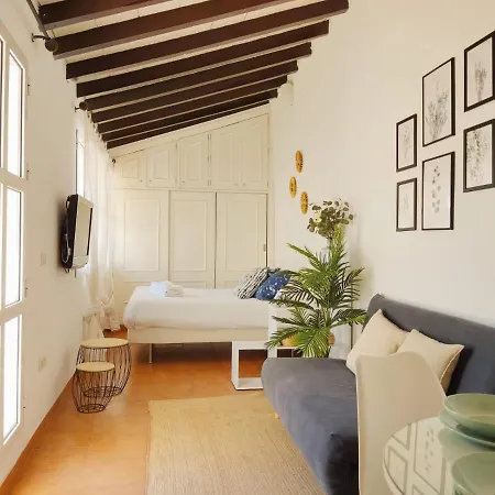 Apartment Stunning Attic With Private Terrace And Parking Optional