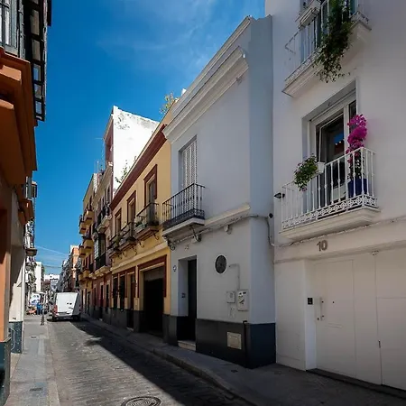 Luxury Alameda Donkey. Sevilla