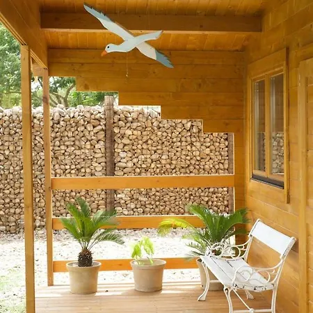 Hermoso De Madera *