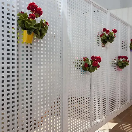 Aacr Museo 3* Sevilla