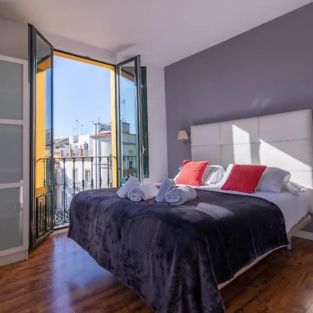 Reservaloen Terrazas De La Catedral Apartment Seville