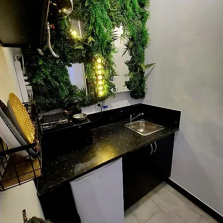 公寓 Mini Estudio Alameda
