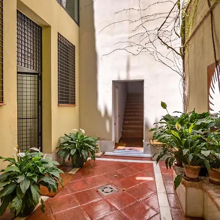 Museum Duplex And Patios, Historical Center, 8 Pax Villa *