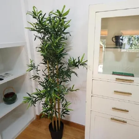 Duplex Puerta Carmona - Kainga Homes Seville