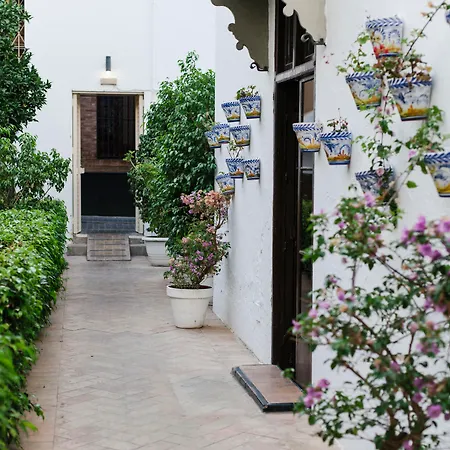 Fontecruz Seises 4*