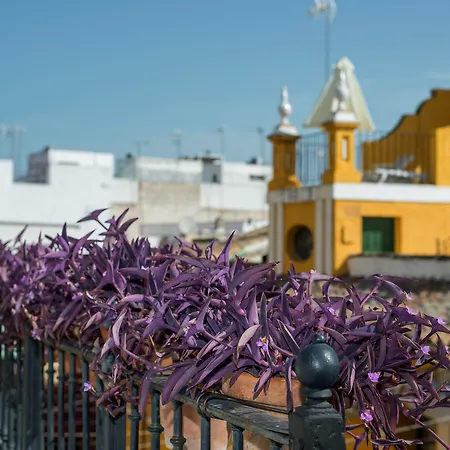 Casas De La Juderia Σεβίλλη