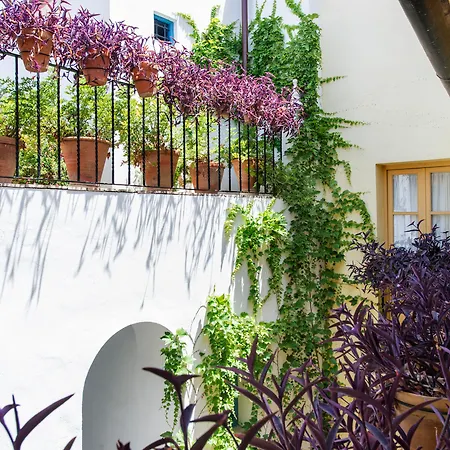 Casas De La Juderia Ξενοδοχείο Σεβίλλη