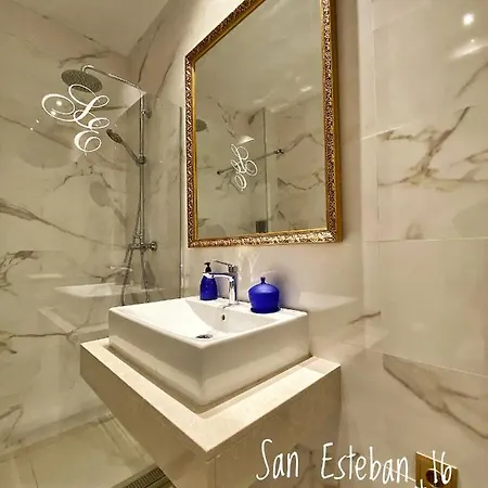 San Esteban 16 Real Apartment