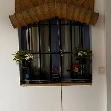 Apartamento Hispalis Casa Pilatos