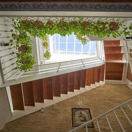 Guest house Casa Pureza Seville