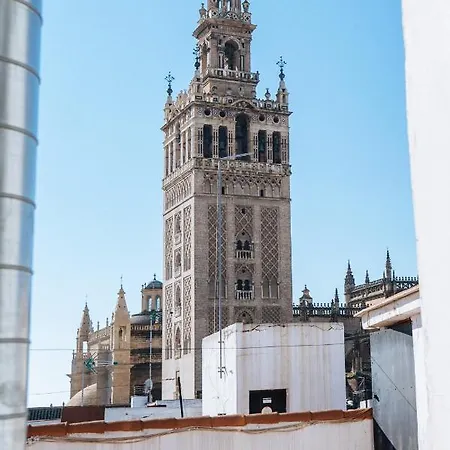 Atico Lujo Junto A La Catedral. Giralda Apartment Seville