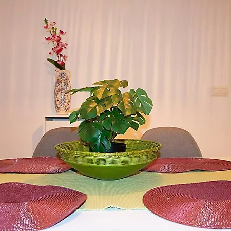Apartment Calle Feria *