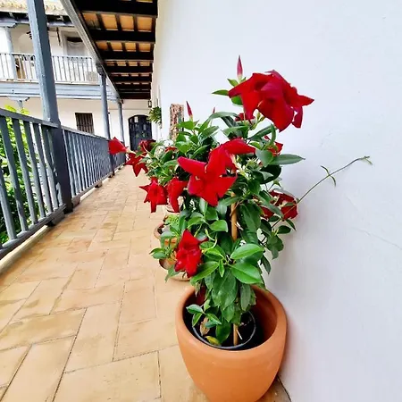 Apartment Con Patio Sevillano Sevilla