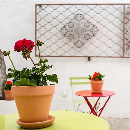 Selecta Venerables Apartment Seville