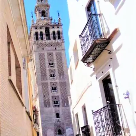 ¡en Frente De La Giralda-catedral! Apartamento