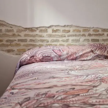 Apartamento Piso Familiar Y Con Encanto
