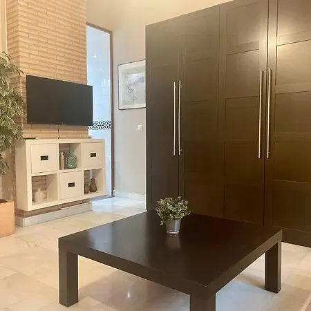 Apartamento Acogedor Loft+parking Junto A Catedral Sevilla