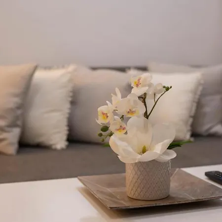 Apartment Wish Santa Clara De
