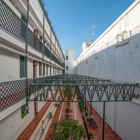 Alohamundi Castilla V-vi Seville