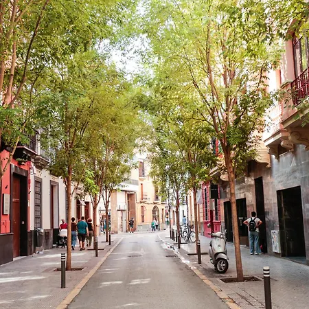 Monkeys Cervantes Apartment Seville