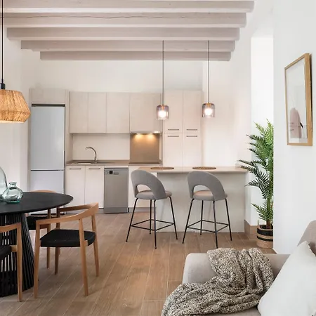 Apartamento Magno Almansa *