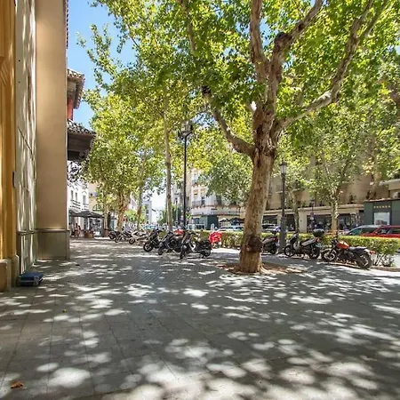 Apartment Muy Centrico, Tranquilo Y Confortable **a/c-wifi** Seville