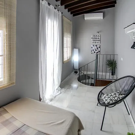 Apartment Espectacular Atico Con Terraza En Triana Seville