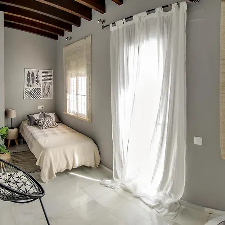 Apartment Espectacular Atico Con Terraza En Triana Seville
