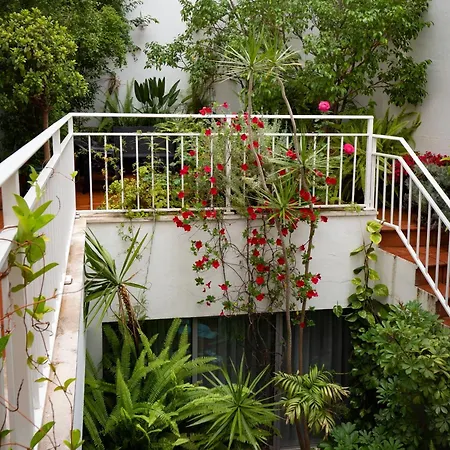 Colectia Hotel Santa Lucia 3*