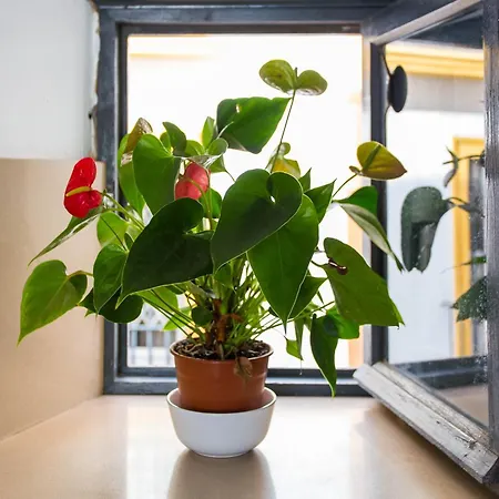 Apartamento Corral Del Conde