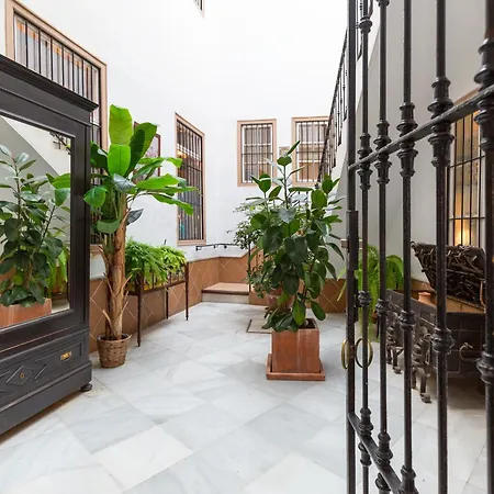 Descubrehome Santa Cruz Terraza Privada Apartamento Sevilla